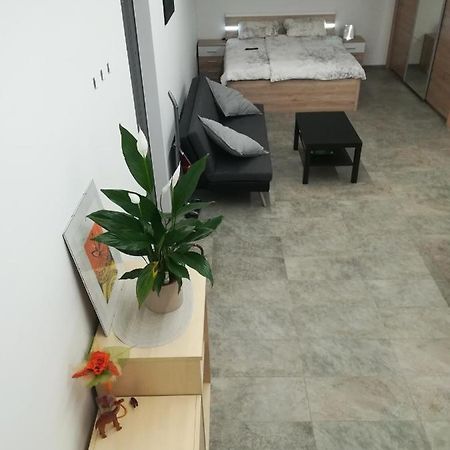 Place Near Casino Mond - Apartma Urska Sentilj Ngoại thất bức ảnh